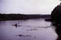 pic12
